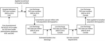 Incidence and prevalence of traumatic spinal cord injury in Canada using health administrative data